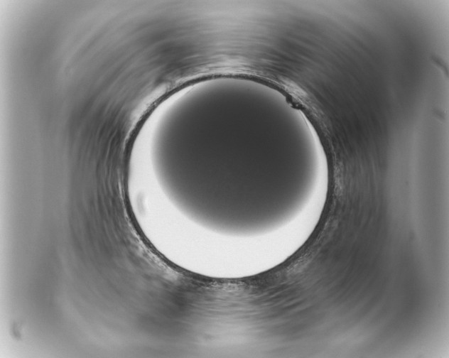 X0000101461334200808041033