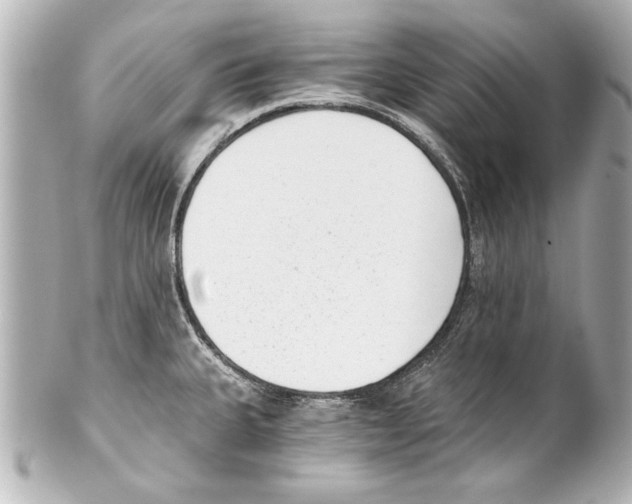 X0000101461335200808041033