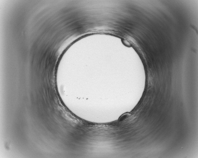 X0000101461336200808041033