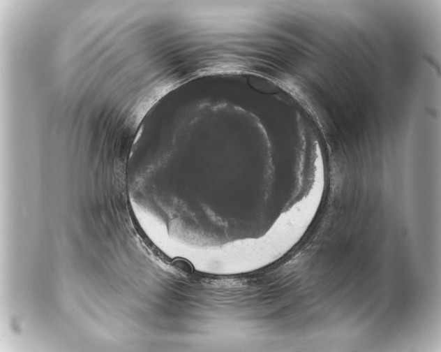 X0000101461337200808041033