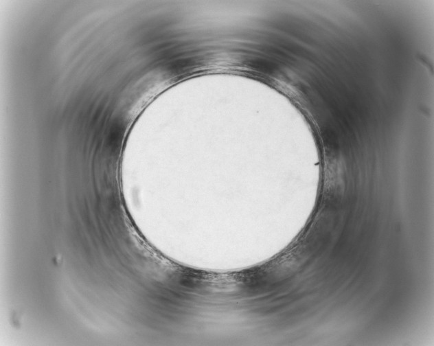 X0000101461338200808041033