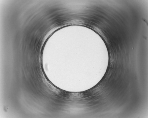 X0000101461339200808041033