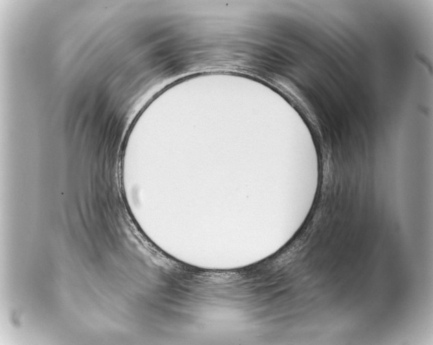 X0000101461340200808041033