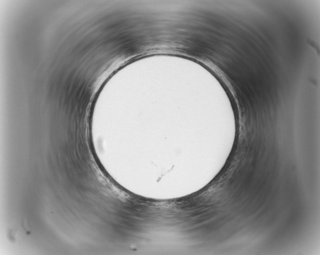 X0000101461341200808041033