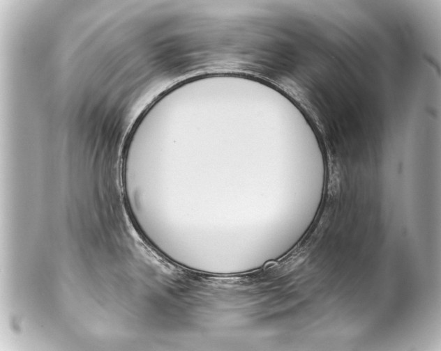 X0000101461342200808041033