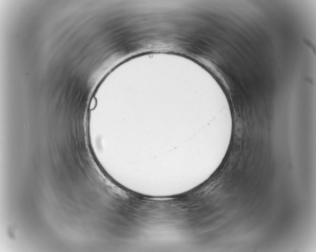 X0000101461343200808041033