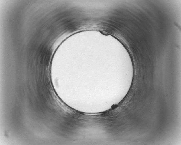 X0000101461344200808041033