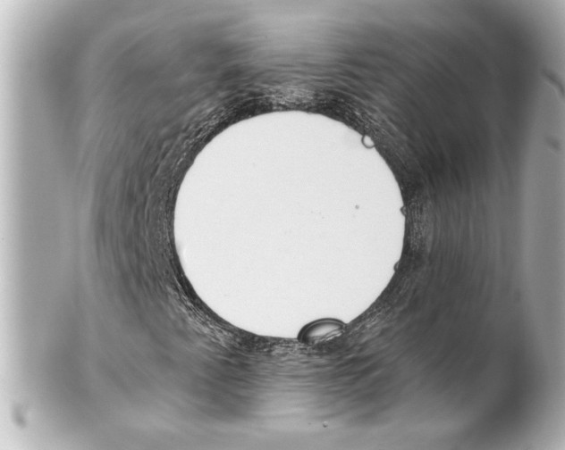 X0000101461345200808041032