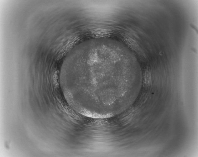 X0000101461346200808041032