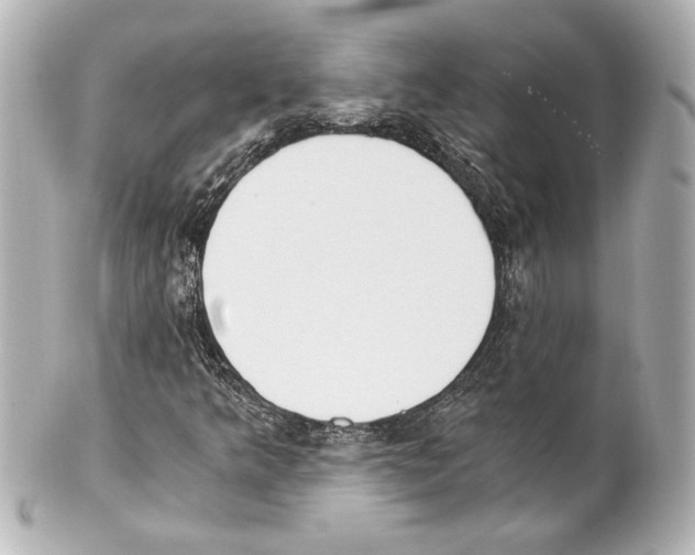 X0000101461349200808041032