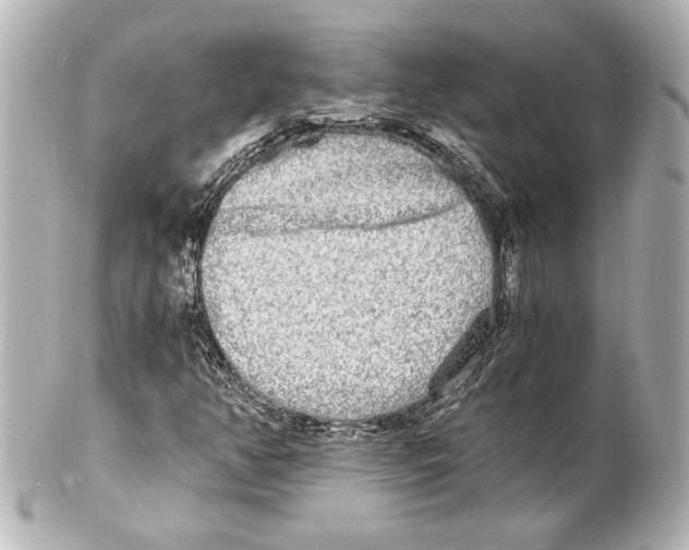 X0000101461350200808041032