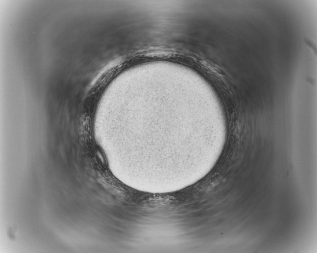 X0000101461351200808041032