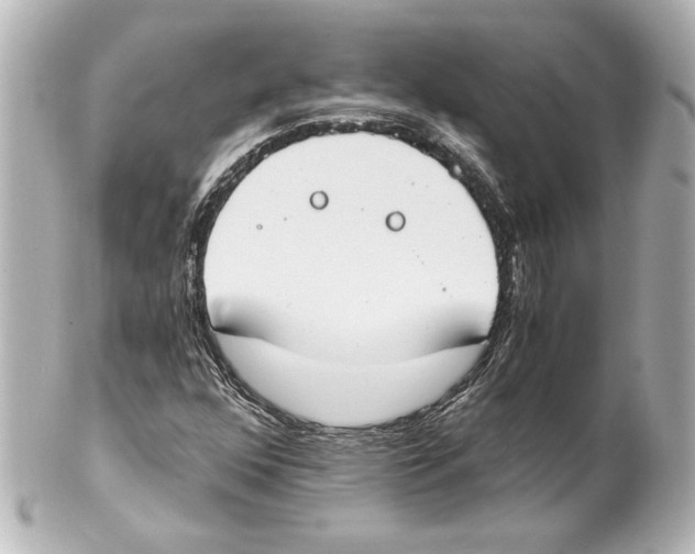 X0000101461352200808041032