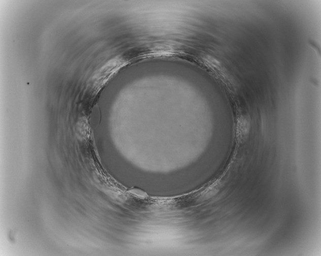 X0000101461353200808041032