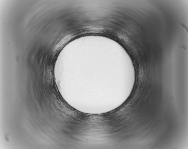 X0000101461354200808041032