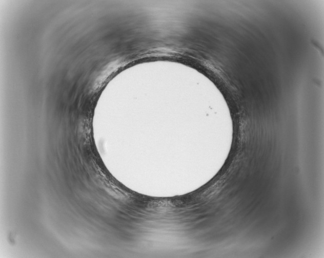 X0000101461355200808041032