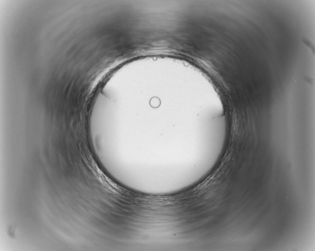 X0000101461356200808041032