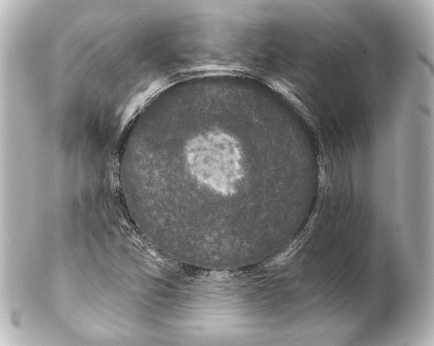 X0000101461357200808041032