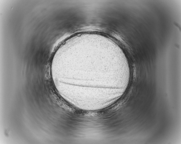 X0000101461358200808041032