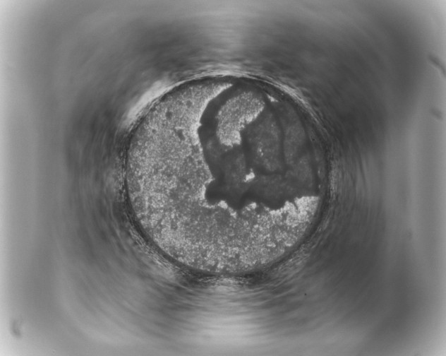 X0000101461359200808041032