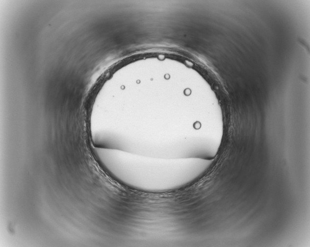 X0000101461360200808041032