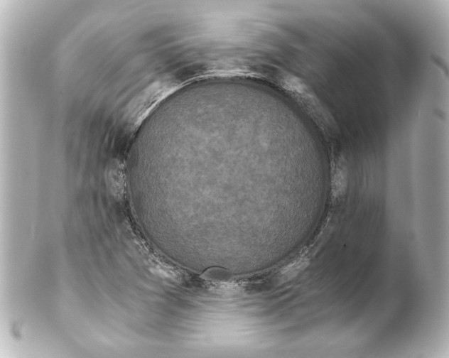 X0000101461361200808041032