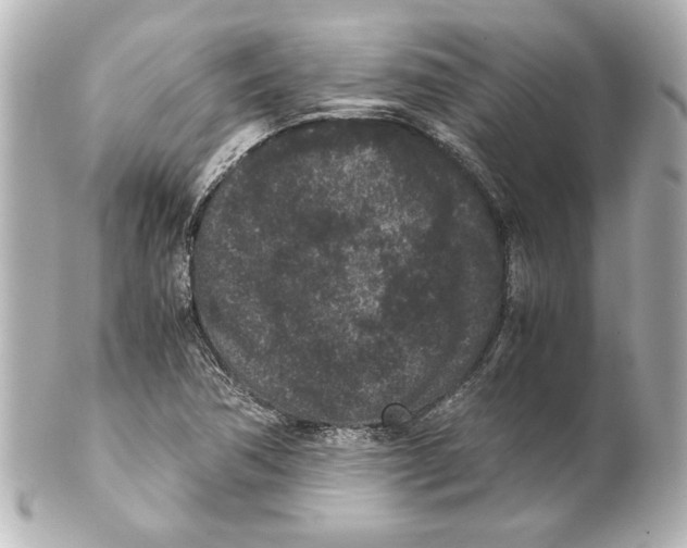 X0000101461362200808041032