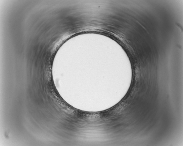 X0000101461363200808041032