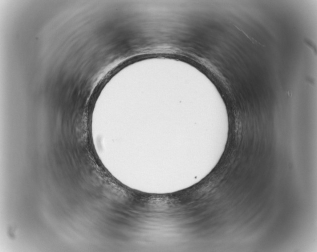 X0000101461364200808041032