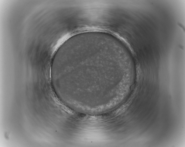 X0000101461365200808041032