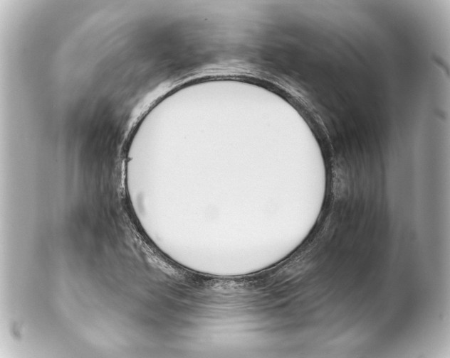 X0000101461366200808041032