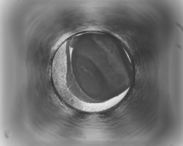 X0000101461367200808041032