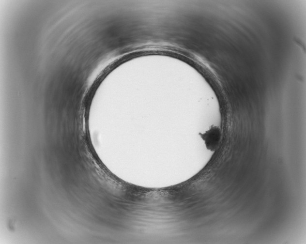 X0000101461368200808041032