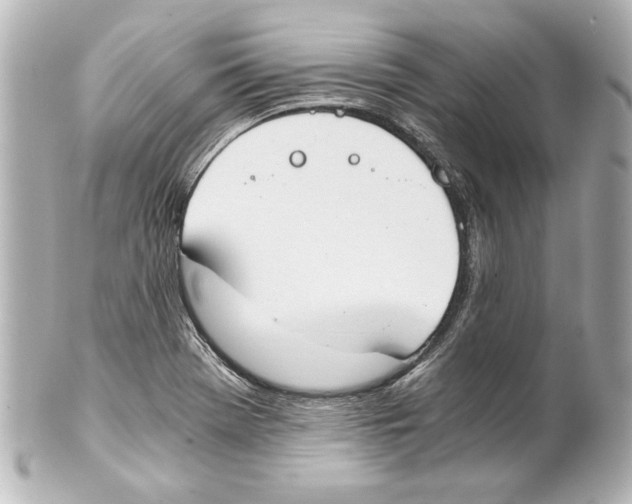 X0000101461369200808041032