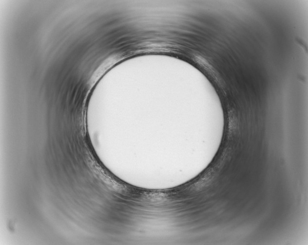 X0000101461370200808041032