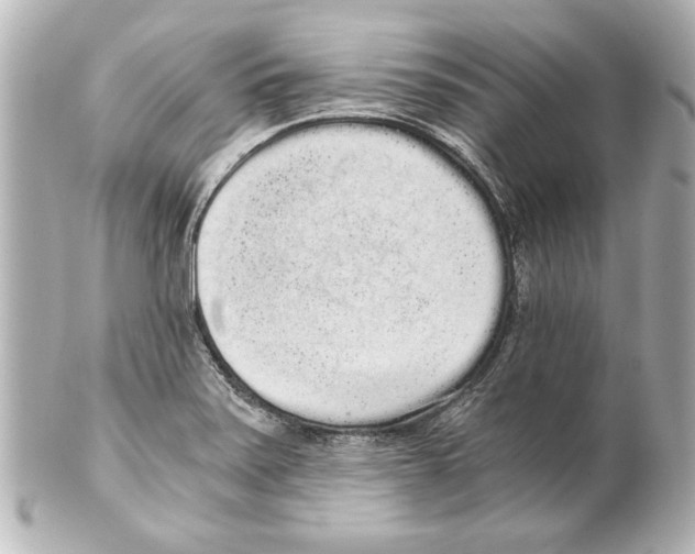 X0000101461371200808041032