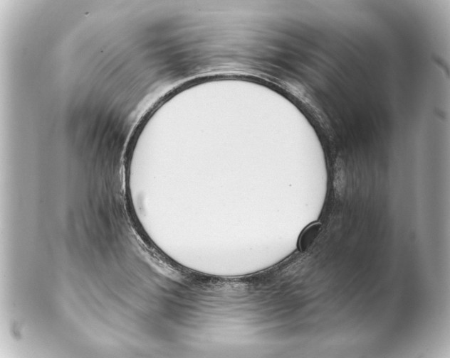 X0000101461372200808041032