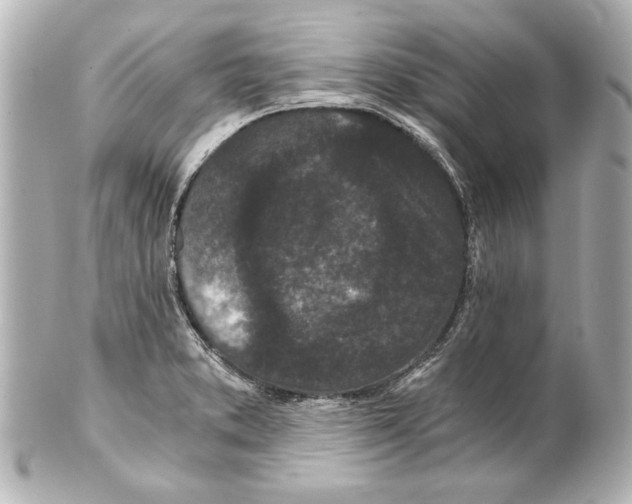 X0000101461373200808041032