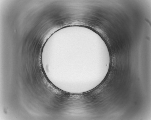 X0000101461374200808041032