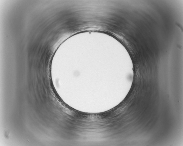 X0000101461375200808041032