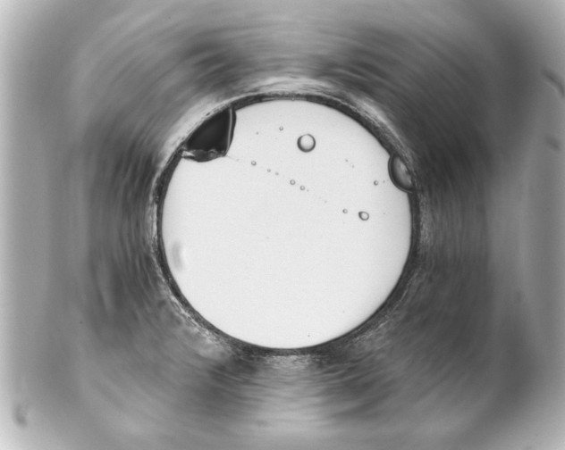 X0000101461376200808041032