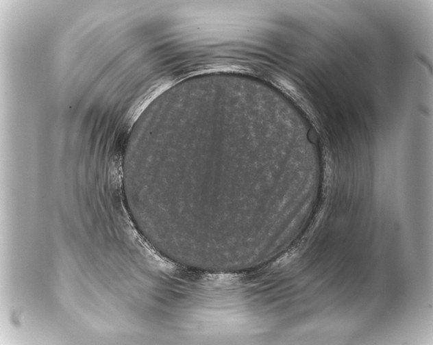 X0000101461377200808041032