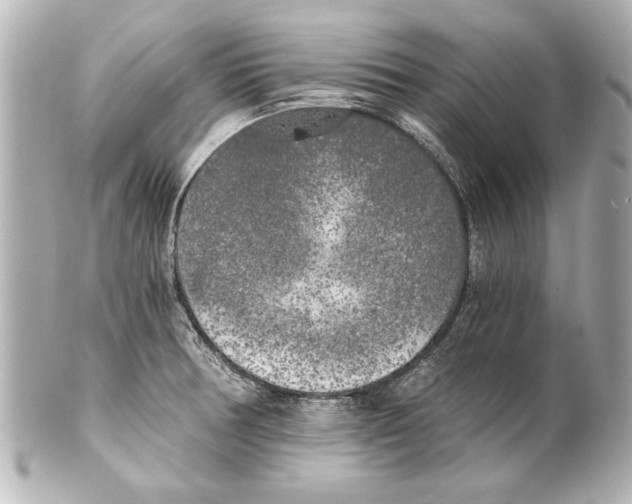 X0000101461378200808041032