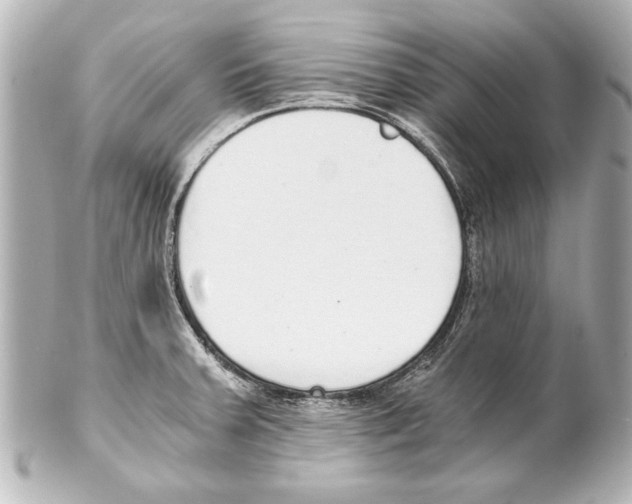 X0000101461379200808041032