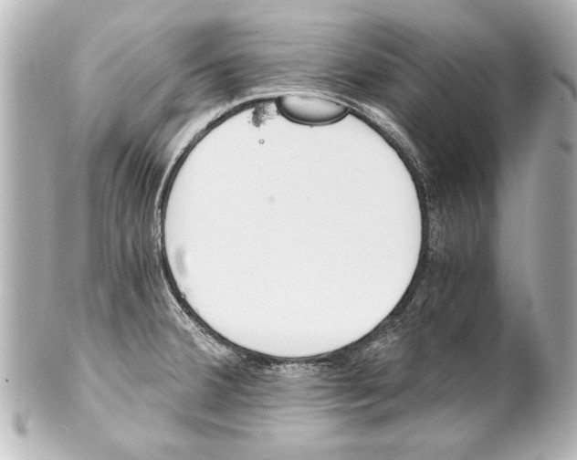 X0000101461380200808041032