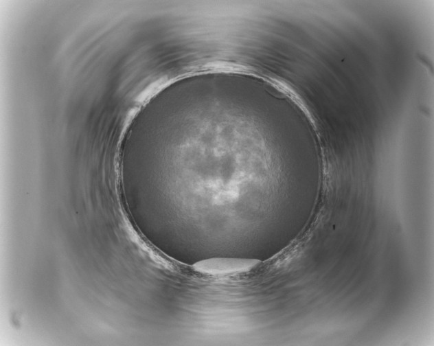 X0000101461381200808041032