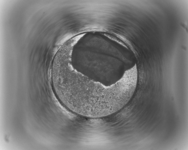 X0000101461383200808041031