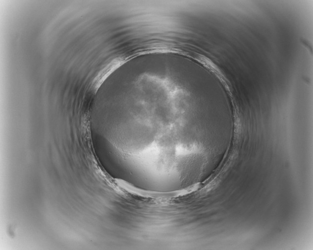 X0000101461385200808041031