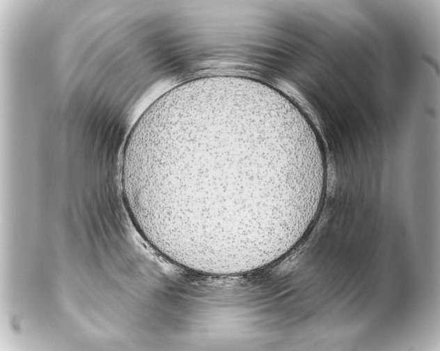 X0000101461386200808041031