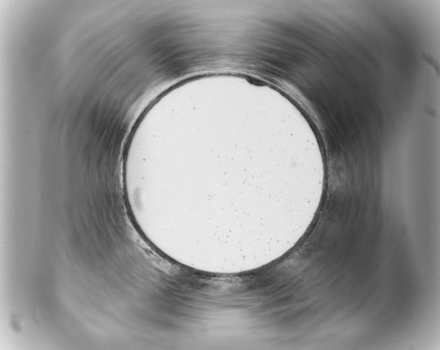 X0000101461388200808041031